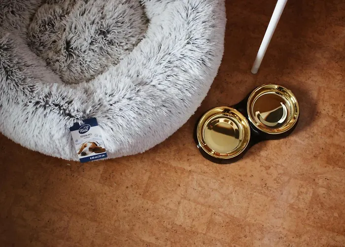 Hotelli Jaemsae Отель *