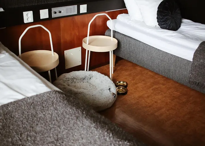 Отель Hotelli Jaemsae Йямся